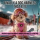 thumbnail image 2 of Ecobark Arnés Para Perro Con Paso – Arneses Ecológicos Para Perros De Raza Pequeña Y Mediana – Chaleco Reflectante Y Ajustable – Arnés De Malla Suave Para Perro (Rosa Grande), 2 of 9