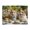 500 Pieces, variant on 500-Piece Wooden Jigsaw Puzzle for Adults & Families - Corgis Tea Party Bow Ties , Fun & Educational Brain-Teasing Game, Artistic Home Decor