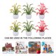 thumbnail image 2 of 6pcs Mini plantas en maceta Mini House Desktop Bonsai Decoration Fake Plant Decor, 2 of 6