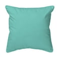 thumbnail image 2 of Betsy Drake Interiors Aqua Oysters Large Indoor/Outdoor Pillow 18x18, 2 of 3