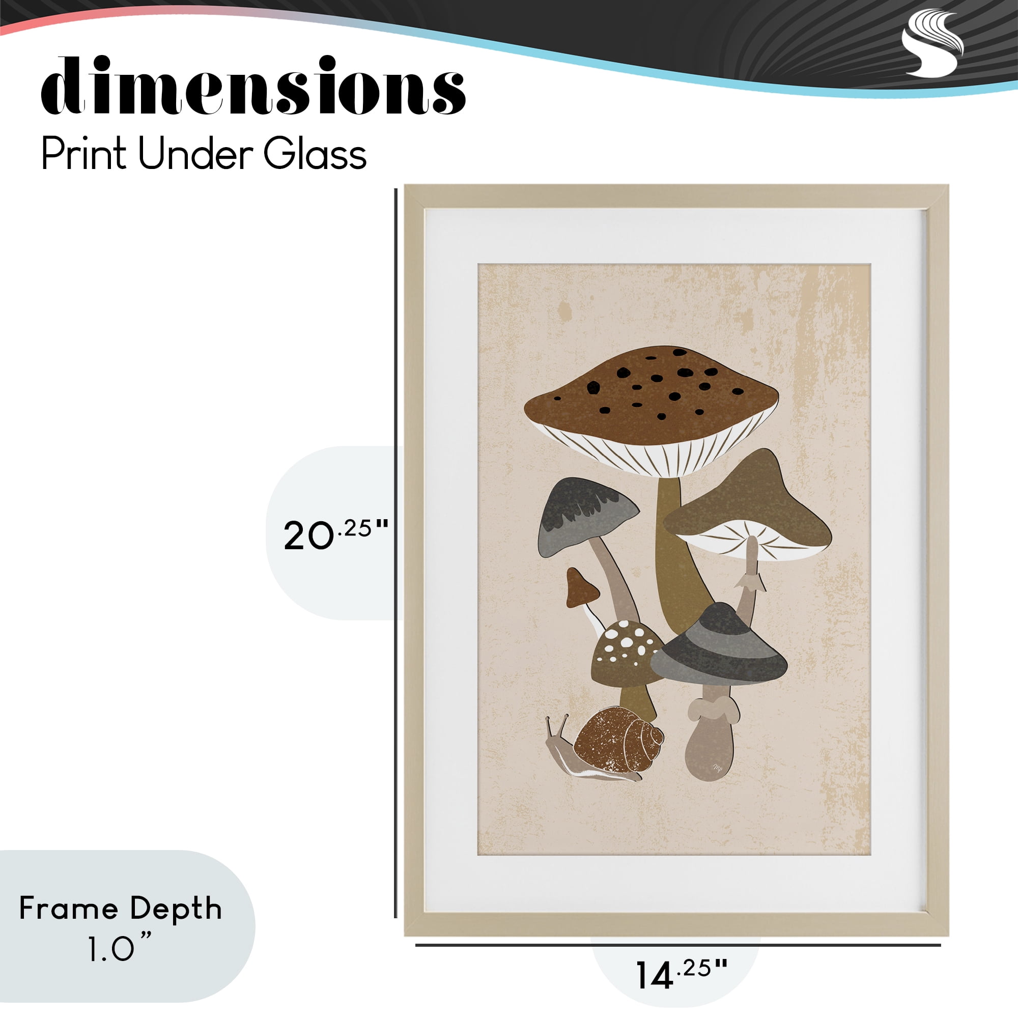 Stupell Industries Earthy Fungi Mushrooms & Snail Birch Framed Print Under Glass, design by Martina Pavlova