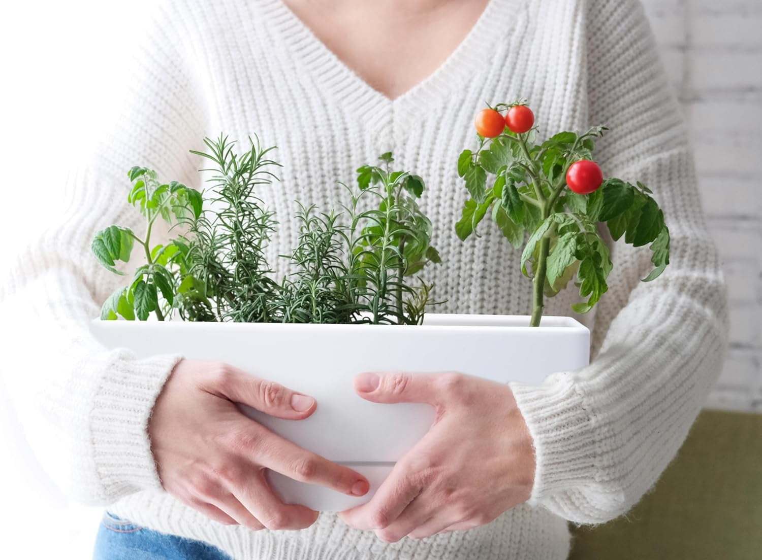 12 Inch Window Box Planter, Rectangle Plastic Herb Planter with Drainage Holes and Saucer, Indoor Succulent Cactus Vegetable Pot for Windowsill, Garden Balcony, Clear, Set of 2, 76-X-D-2