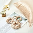 thumbnail image 3 of Gift Set: Pure Mulberry Silk Pillowcase, Eye Mask And Scrunchies, 3 of 8