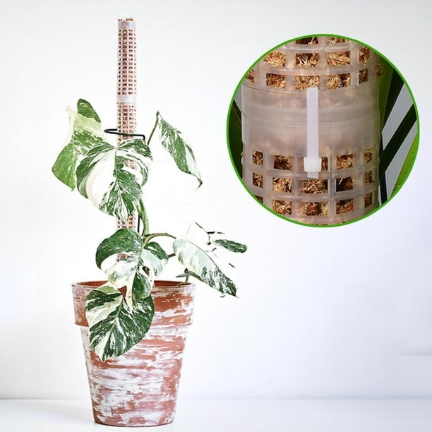 Poste para trepar plantas, poste para musgo de 25 cm, poste de plástico para musgo, tótem de musgo de fibra de coco, máxima eficiencia