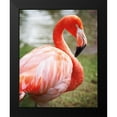thumbnail image 2 of Van Swearingen, Debra 15x18 Black Modern Framed Museum Art Print Titled - Flamingo I, 2 of 5
