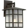 Forte Lighting 1219-01 Outdoor 8Wx16.25Hx9E Wall Sconce