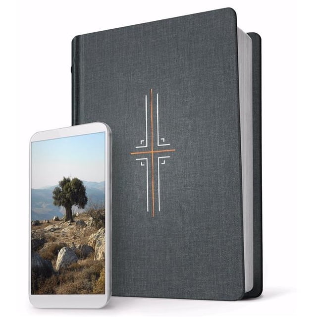 NLT Filament Bible&44; Couverture Rigide Grise