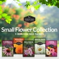 thumbnail image 4 of 5 Flower Seed Collection - Hollyhock, Daisy, Purple Coneflower, Marigold, Zinnia - Annual Full Sun, 4 of 6