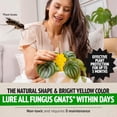 thumbnail image 3 of Fungus Gnat Traps - 60 Pack, Highly Effective Gnat Traps for House Indoor, Yellow Sticky Trap for Plants, Non-Toxic & Nature-Friendly, Up to 3 Months, 3 of 7