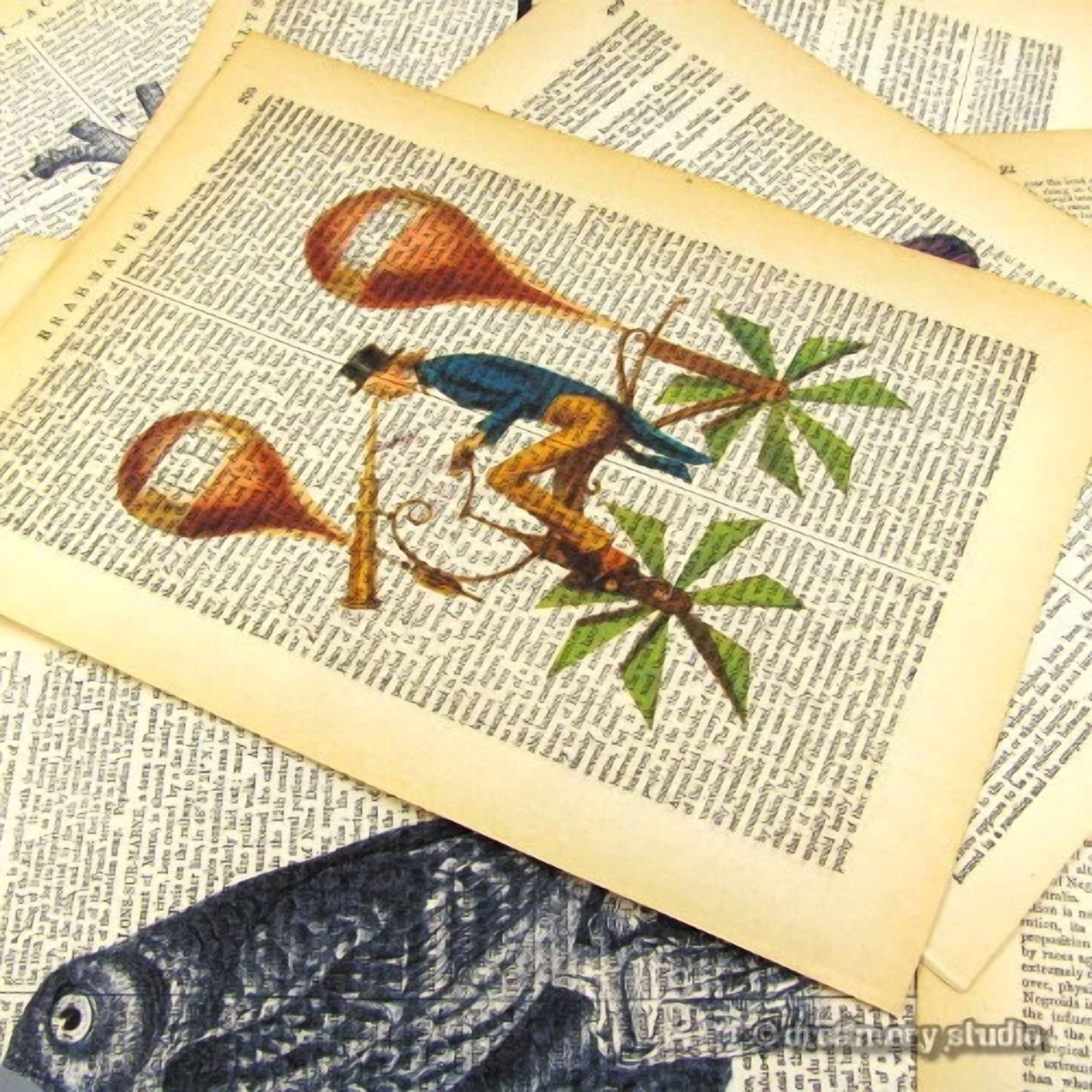 BUTTERFLY- Vest Pocket Folding Camera #1 Art Print On Vintage Book Page Home Office Decor