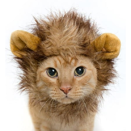 Pet Krewe Lion Mane Cat and Dog Costume
