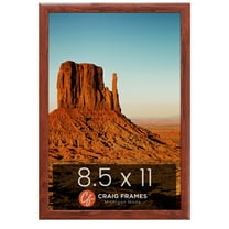Craig Frames Contemporary 1", 8.5 x 11 inch Picture Frame, Modern Honey Brown