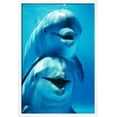 thumbnail image 2 of Bottlenose Dolphin Two, Facing, One on Top of the Other, Animals Framed Art Print Wall Art by Augusto Leandro Stanzani Sold by Art.Com, 2 of 6