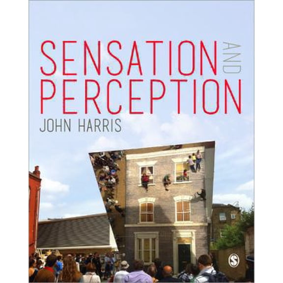 Pre-Owned Sensation and Perception (Paperback) 0857020641 9780857020642