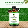 thumbnail image 5 of SVA Citronella Essential Oil – 4 Fl Oz – 100% Natural Citronella Oil - for Diffuser, Hair Care, Face, Skin Care, Aromatherapy, Scalp and Body Massage, Soap and Candle Making - with Dropper, 5 of 9