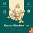 Hamakua Macadamia Nuts Lightly Salted Hawaiian Grown Dry Roasted