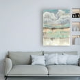 thumbnail image 3 of Trademark Fine Art 'Clouds Over the Plane II' Canvas Art by Jennifer Goldberger, 3 of 3