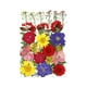 thumbnail image 2 of Flores de hojas prensadas secas reales, margaritas prensadas para joyería artesanal de resina Multi, 2 of 4
