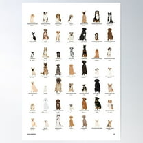 Dog Breeds Chart! Poster Wall Art, Modern Wall Decor For Living Room Bedroom, 24x36 UNFRAMED