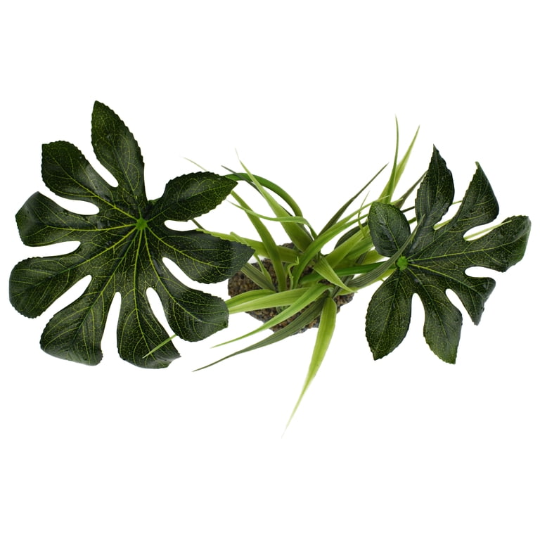 Komodo Jungle Plant with Gravel Base, Green photo 5