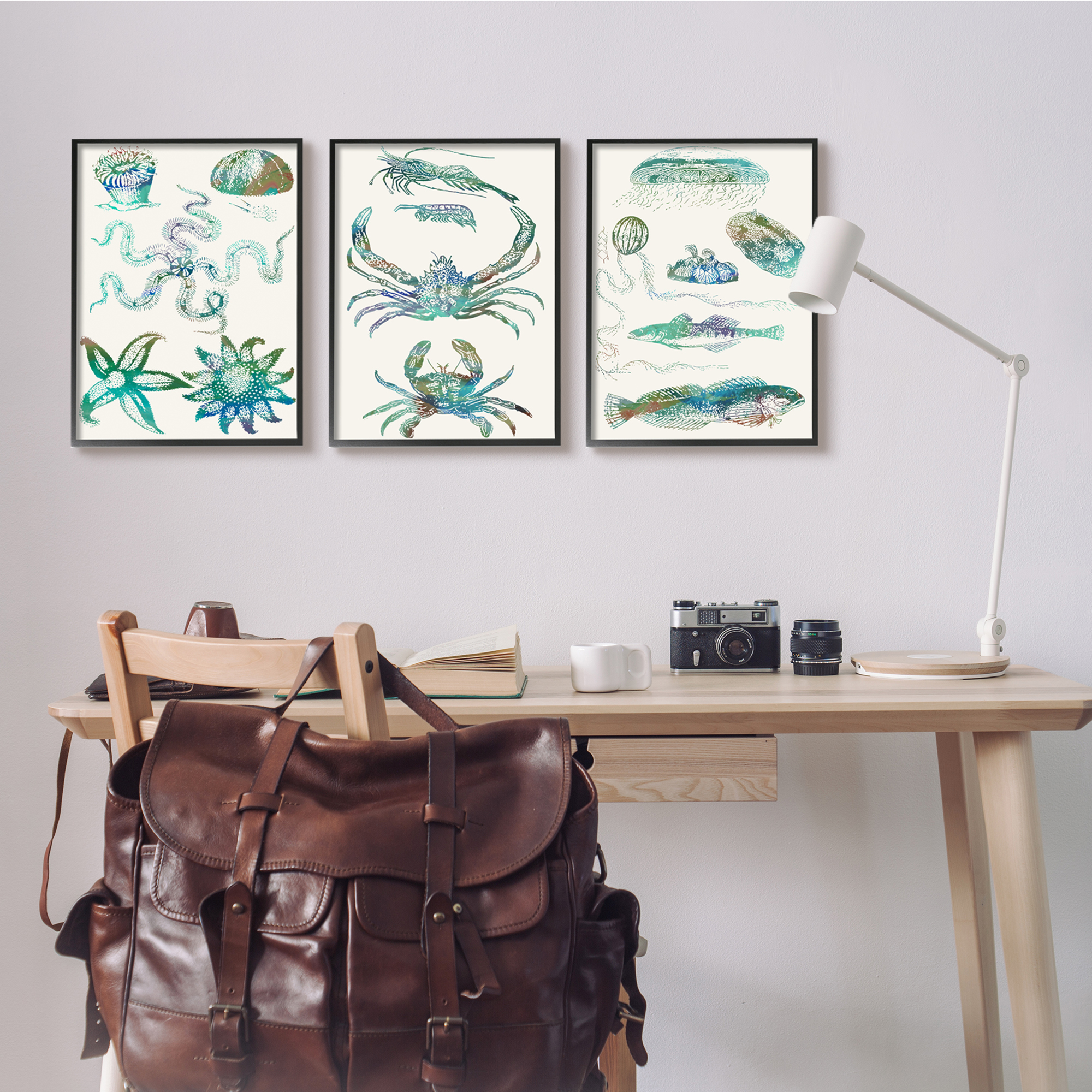 Stupell Industries Collage of Blue Aquatic Creatures Ocean Life Black Framed, 16 x 20, Design by Sharon Chandler