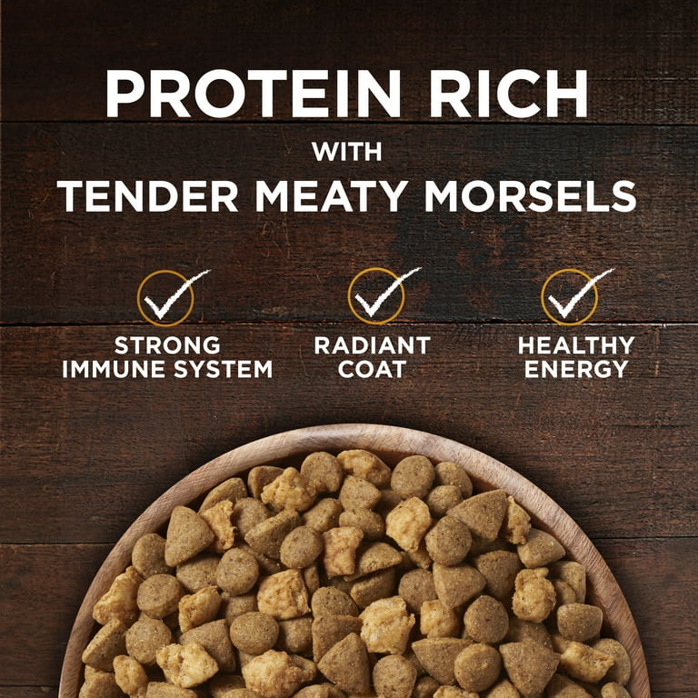 true-instinct-cat-food-review-verified-quality-www-meesenburg-kz