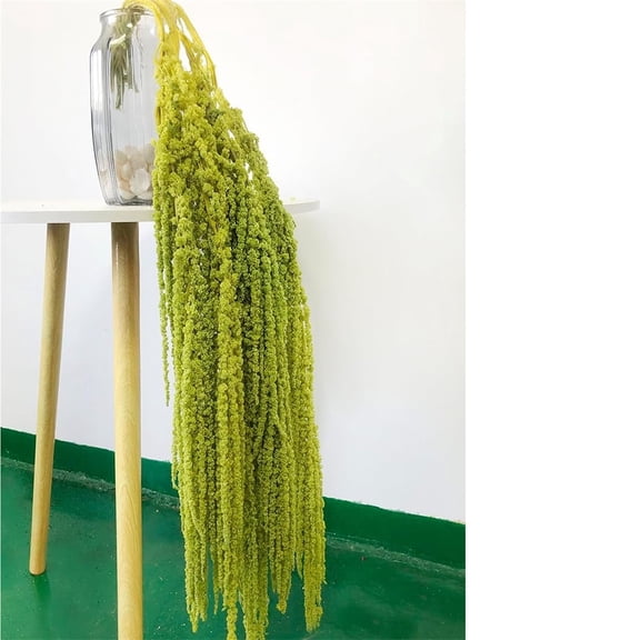 Triani 5Pcs Natural Dye Light Green 16-28 Inch Real Amaranthus Hanging Dried Floral Garland for Home Decor Wedding Bouquet Home Wall Decor(Light Green)