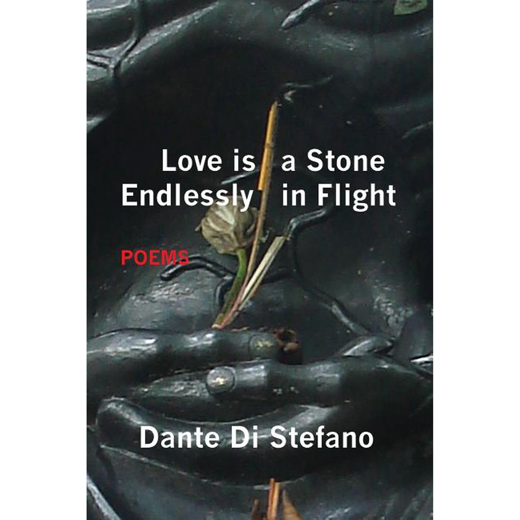 Love Is a Stone Endlessly in Flight: Poems (Paperback)