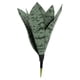 thumbnail image 1 of GOOHOCHY Suculenta artificial falsa, planta artificial, adorno para oficina y hogar., 1 of 7