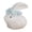 D, variant on Easter Decoration Ceramic Bunny Figurine Small Ornament, Delicate Porcelain Decor for Household Tea Room and Living Room, Home Decor Gift Mini Rabbit Statue for Spring Aesthetic Home Tabletop, A