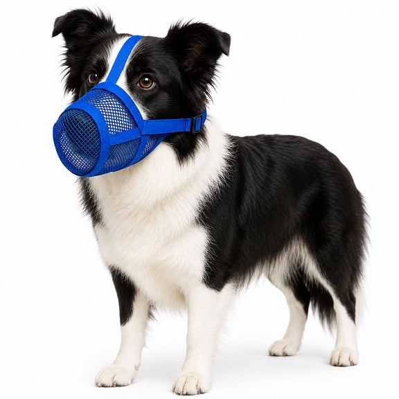 YIOYIOKAMI Dog Muzzle, Anti-Scavenging Breathable Mesh Guard,Blue