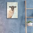 thumbnail image 3 of Epic Art 'Farm Sheep' by Pam Britton, Acrylic Glass Wall Art, 16"x24", 3 of 3