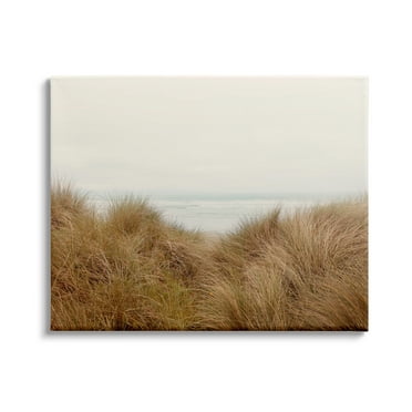 Stupell Indtries Beach Behind Tall Grass Sun Bleached Ocean Landscape,48 x 36,Design by Ian Winstanley