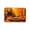 3-Multicolor, variant on Fall Pumpkin Maple Leaves Floor Mat Halloween Thanksgiving Decorative Floor Mat Bathroom Kitchen Mat Porch Carpet Entrance Mat 15.75x23.62in
