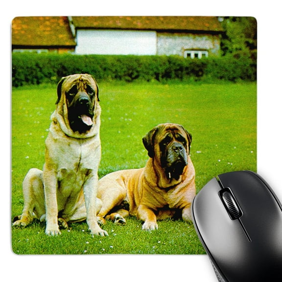 3dRose, Mastiff, MousePad