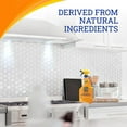 thumbnail image 4 of Zep Home Pro Heavy-Duty Orange Plus Kitchen Degreaser - 24 oz (Case of 6) - R49506 - Pro Trusted Cleaning Power: Now in Refreshing Scents & Family Friendly Formulas, 4 of 8