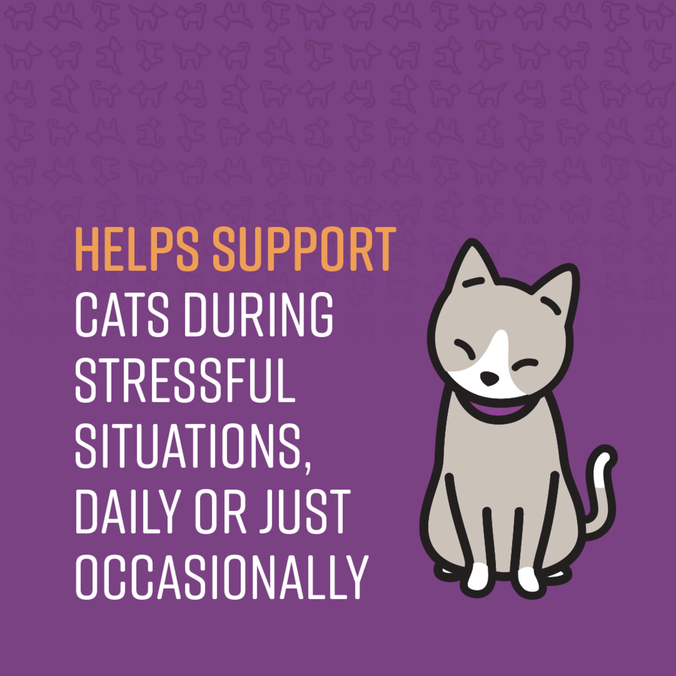 (2 pack) SENTRY Calming Chew for Cats