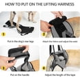 thumbnail image 4 of Dog Lifting Harness, Dog Support Harness For Back Legs, Soft Dog Support Sling For Injured Disabled Dogs, 4 of 5