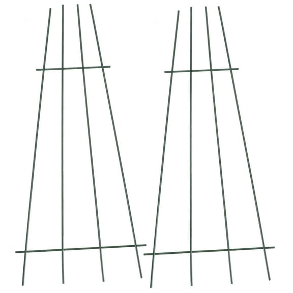 2pcs Iron Plant Support Rack for Indoor and Outdoor Use Climbing Trellis Frame for Vines and Climbing Plants Elegant Garden Decor Height