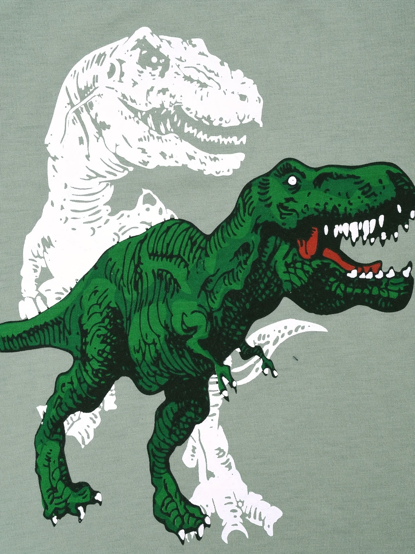 WIBACKER Boys Dinosaur Long Sleeve Pajama Set photo 2