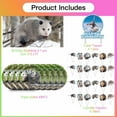 thumbnail image 2 of Opossum Birthday Party Supplies Decorations Plates Cake Topper Backdrop Banner Decor, 2 of 7