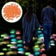 thumbnail image 4 of Paquete de 300 piedras luminosas multicolor | Piedras romboidales luminosas para decoración de exteriores, jardín, aceras, acuarios y piscinas | Brillan en la oscuridad de 3 a 4 horas, 4 of 4