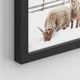 thumbnail image 5 of PixonSign Framed Wall Art Winter Country Farm Prints, Set of 4 Sheep Lamb Windmill Photography Wall Decors, Nature Wall Décor, Adhesive Canvas Poster, Modern Home Artwork - 8"x10" Black, 5 of 5