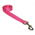 thumbnail image 1 of 4 ft. Nylon Webbing Dog Leash, Pink - Small & Medium, 1 of 1