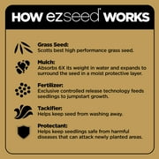 Scotts EZ Seed Patch & Repair Sun and Shade, 3.75 lbs., up to 85 sq. ft.