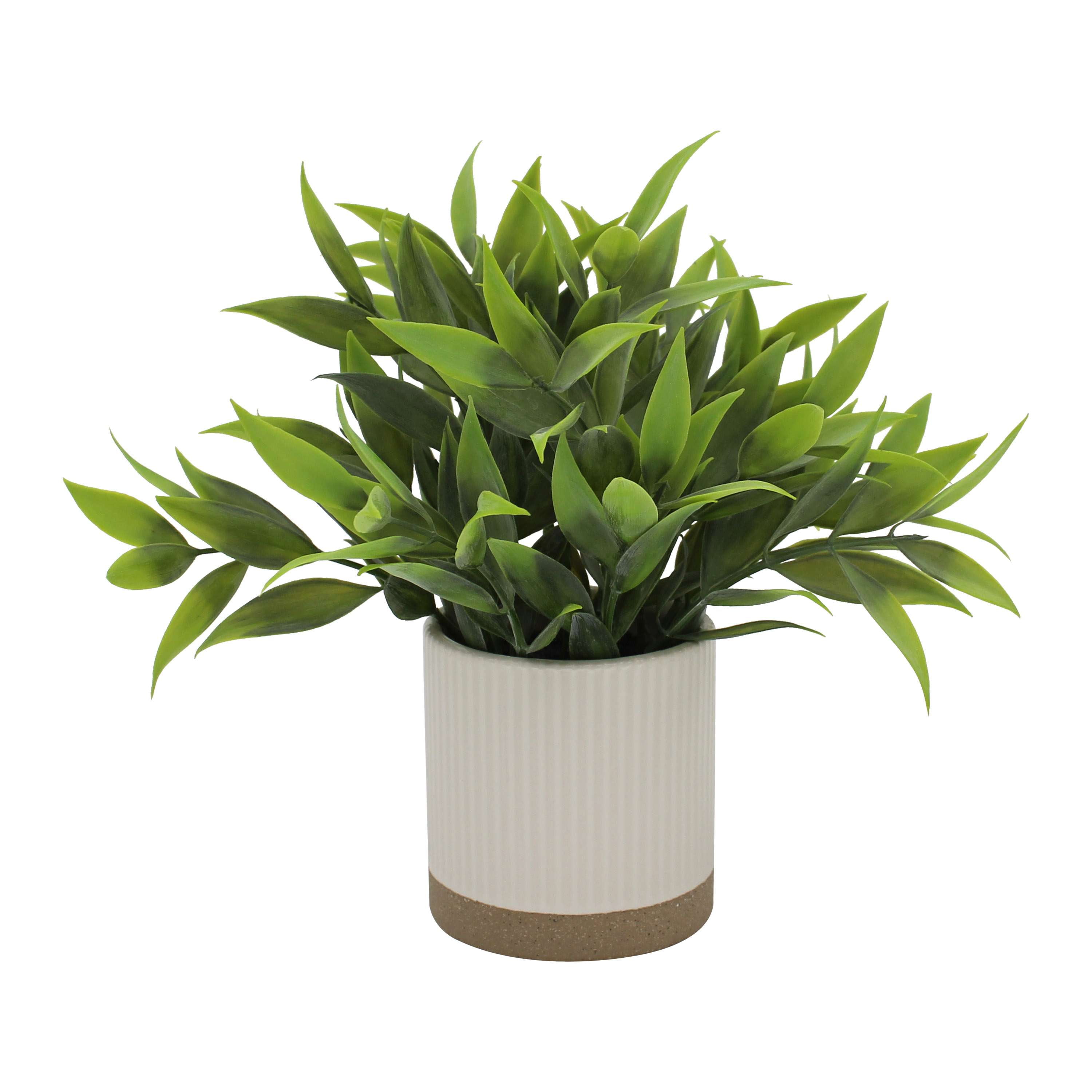 Mainstays by Becky G. & Alejandra 8" Artificial Tealeaf in White Two-Tone Ribbed Ceramic Pot
