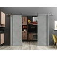 thumbnail image 3 of Sturdy Double Barn Door 84 x 84 inches with | Planum 0016 Concrete with Frosted Glass | Stainless Steel 14FT Rail Hangers Heavy Set | Solid Panel Interior Doors, 3 of 6