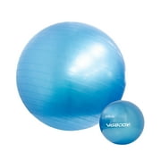 VIGBODY 26 Exercise Ball + 9 Pilates  Thick Antiburst Yoga Ball Balance Physical Therapy Ball With Hand Pump for Home Gym