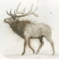 thumbnail image 2 of Wiens, James 12x12 Black Ornate Wood Framed with Double Matting Museum Art Print Titled - Elk v.2, 2 of 4