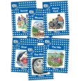 thumbnail image 1 of Jolly Phonics Readers, Nonfiction, Level 4: in Precursive Letters (BE) (Jolly Phonics Readers, Complete Set Level 4), 1 of 3